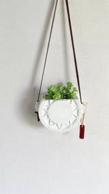 Sedum Donkey's Tail Succulent in Decorative Wall Hanging Planter