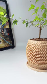 Honeycomb Plant Pot