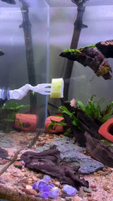 Aquarium Veggie Skewer, Food Holder with Suction Cup (Robot Hand)