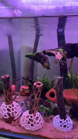 Aquarium Dome Decor, Home Hide Out, Aquarium Dome, Aquarium Safe Plastic.