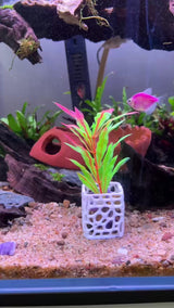 Plant Holder For Aquatic Plants, Aquarium Plant Pot For Fish Tank Decor, Safe Plastic for Aquariums