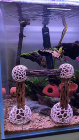 Shrimp Dome Decor Combo – Shrimp Hideout, Moss Holder, Aquarium Safe Plastic Shelter