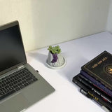Volcanic Flow Rock Planter - Crescent volcano