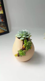 3D-Printed Planter With Cloud-Pattern Grooves