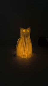 Ghost Cat LED Lights - Pet Lover Decor for Home - Cat Themed 3D Printed Night Light - Fall Desk Decoration