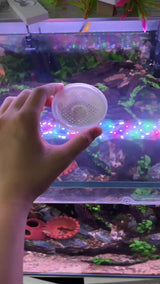Feed your fish the fun way – with the UFO, Safe Plastic for Aquariums