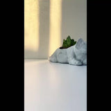 The French Bulldog-Shaped Plant Pot