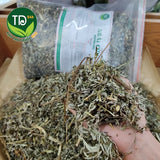 Dried Mugwort Leaves – 1.1 lbs