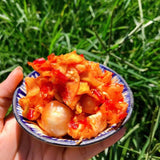 Vietnamese Mixed Pickled Vegetables – 2.2 lbs