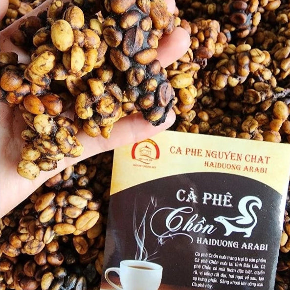 Pure Civet Coffee from Binh Phuoc Farm