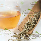 Ancient Shan Tuyet White Tea – 1.76 oz
