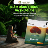 Ladophar Lingzhi Herbal Tea Bags – 20 Tea Bags