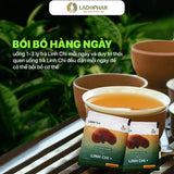 Ladophar Lingzhi Herbal Tea Bags – 20 Tea Bags