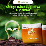Ladophar Ginger Lemongrass Herbal Tea Bags – 20 Tea Bags