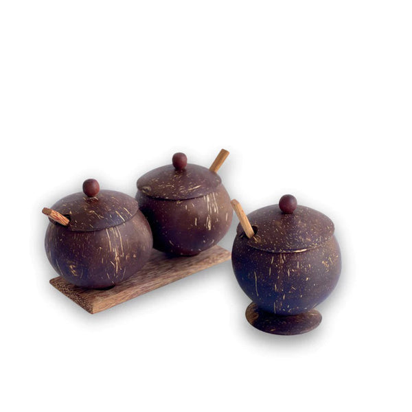 Spice jar with spoon made from coconut shell