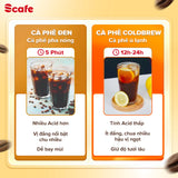 Scafe Vietnam Cold Brew Coffee – Fruity Flavor Drip Bags – 10 Bags