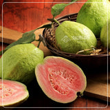 Chili Salt Dried Pink Guava – 10.6 oz