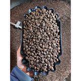 Phan Coffee 100% Kon Tum Robusta Whole Bean Coffee – 1.1 lb