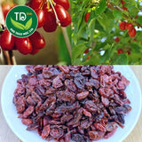 Dried Cornelian Cherry Fruit (Sơn Thù Du) – 8.8 oz