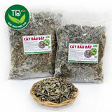 Dried Purple Bầu Đất Herb – 1.1 lbs