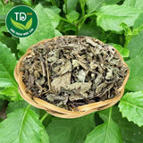 Dried Purple Bầu Đất Herb – 1.1 lbs