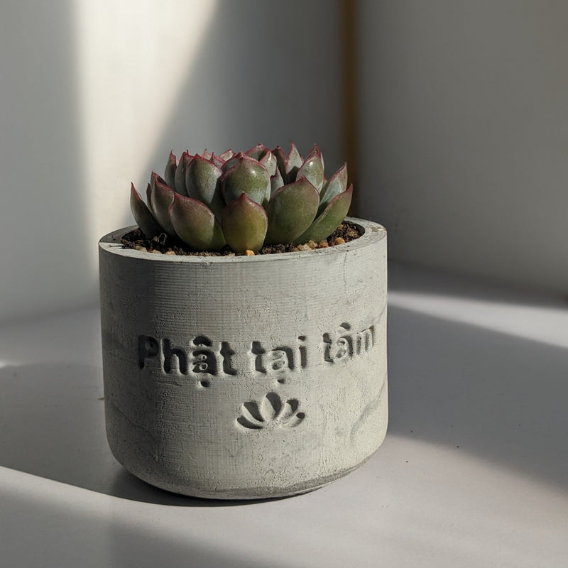 "Phật Tại Tâm" Round Planter Silicone Molds