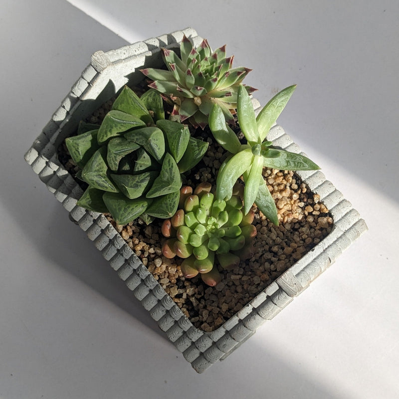 House Planter Molds