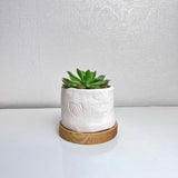"I love you Everyday" Concrete Plant Pot