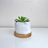 "I love you Everyday" Concrete Plant Pot