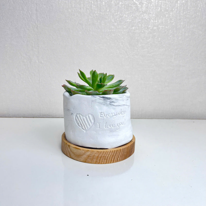 "I love you Everyday" Concrete Plant Pot