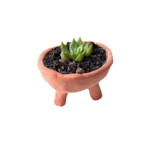 Natural Clay Planter – 5cm (Unglazed)