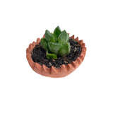 Natural Clay Planter With Pattern – 5cm (Unglazed)
