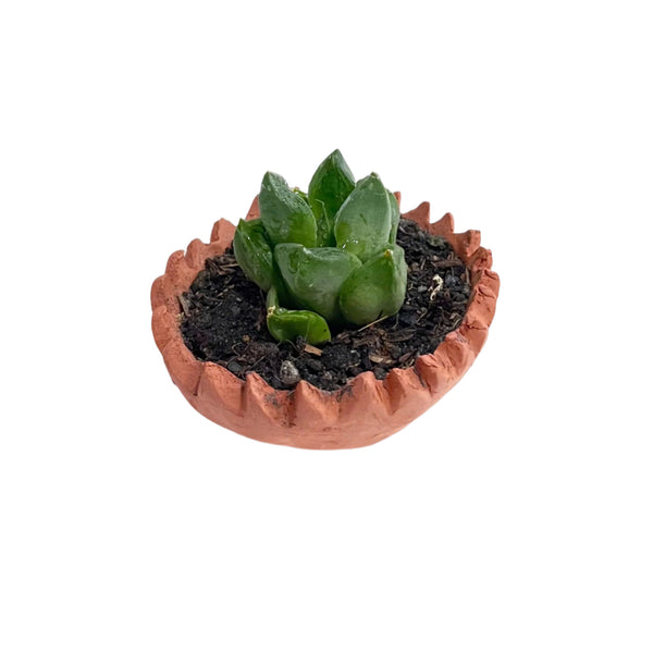 Natural Clay Planter With Pattern – 5cm (Unglazed)