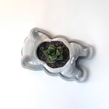 The French Bulldog-Shaped Plant Pot