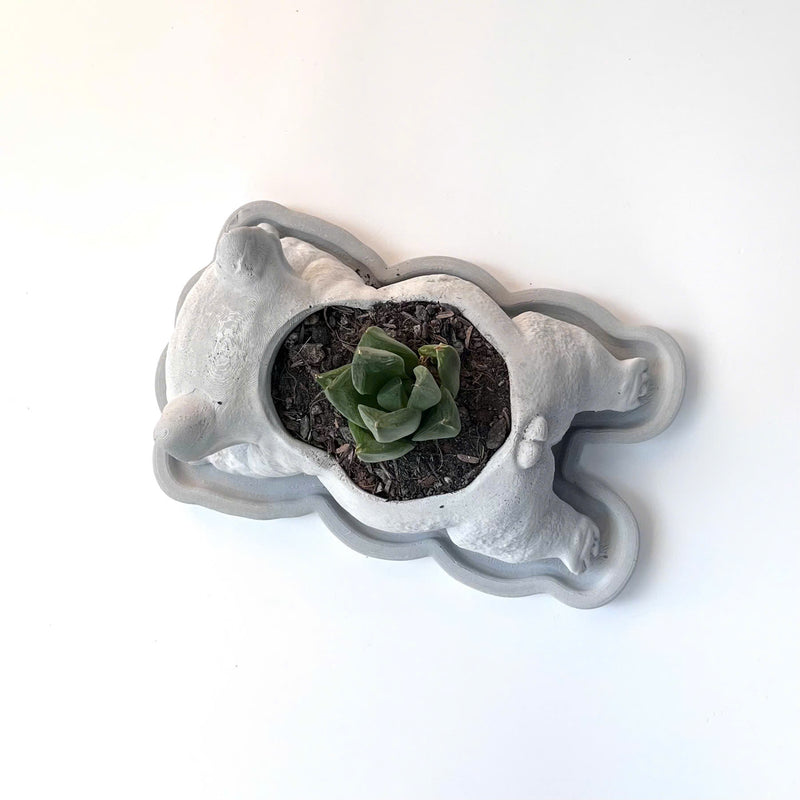 The French Bulldog-Shaped Plant Pot