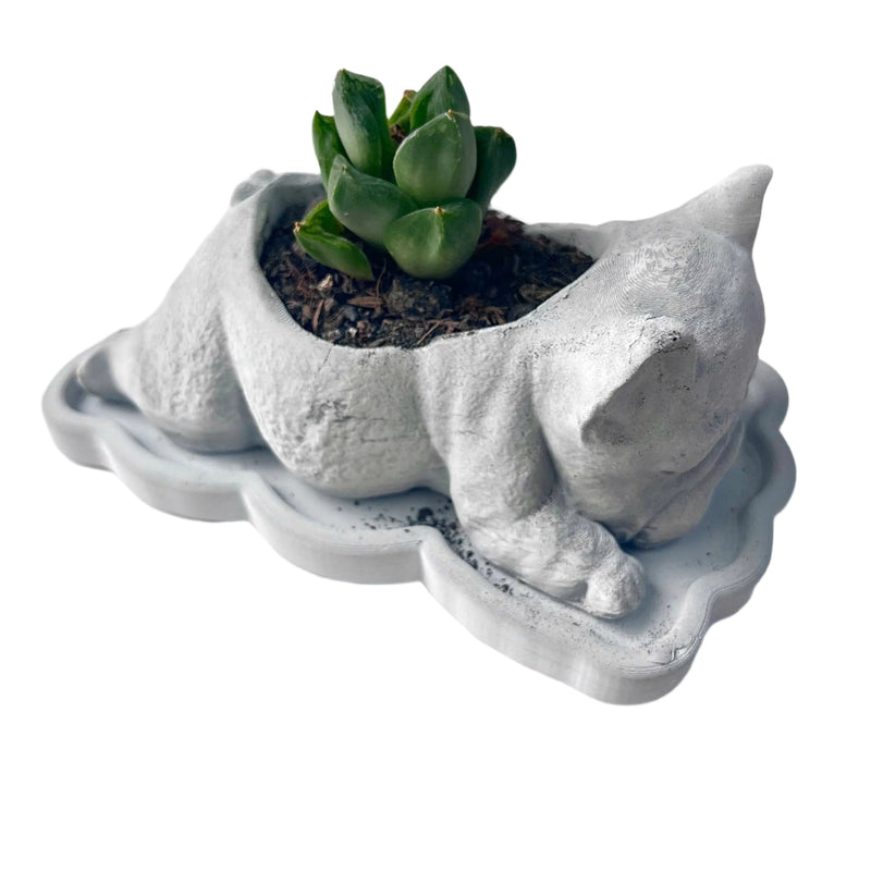 The French Bulldog-Shaped Plant Pot