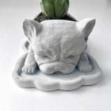 The French Bulldog-Shaped Plant Pot
