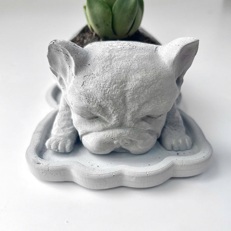 The French Bulldog-Shaped Plant Pot