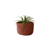 Clay Plant Pots