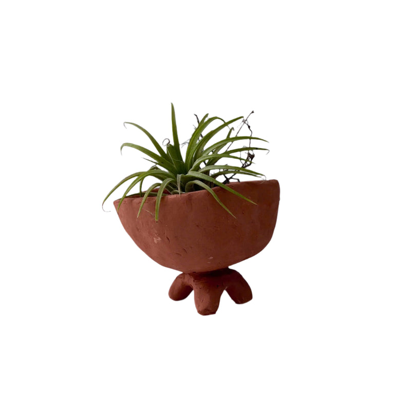 Clay Plant Pots