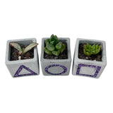 Squid Game-Inspired Planter with Amethyst Inlay - Set of 3
