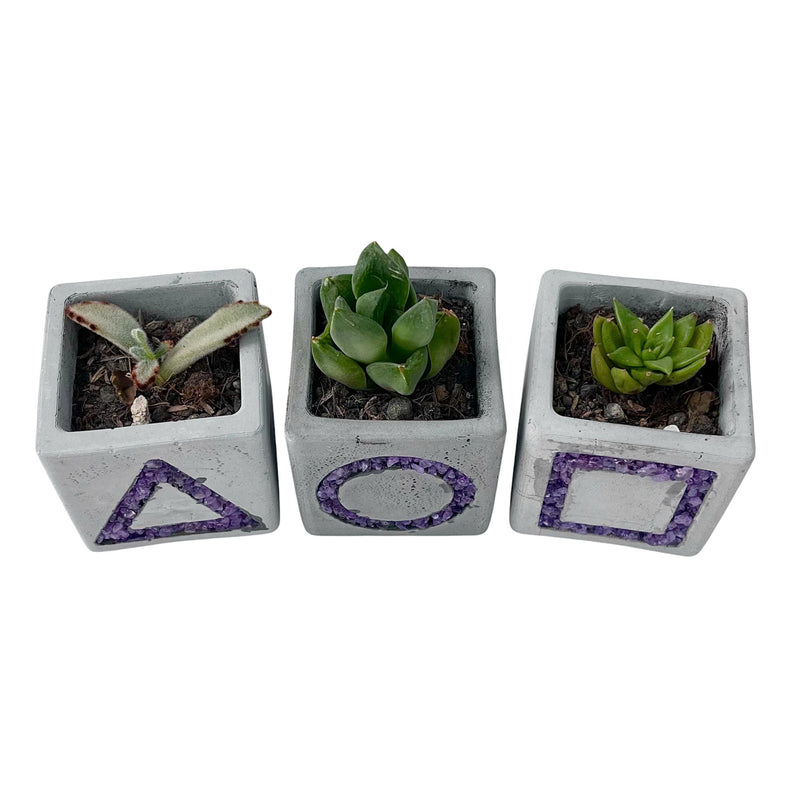 Squid Game-Inspired Planter with Amethyst Inlay - Set of 3