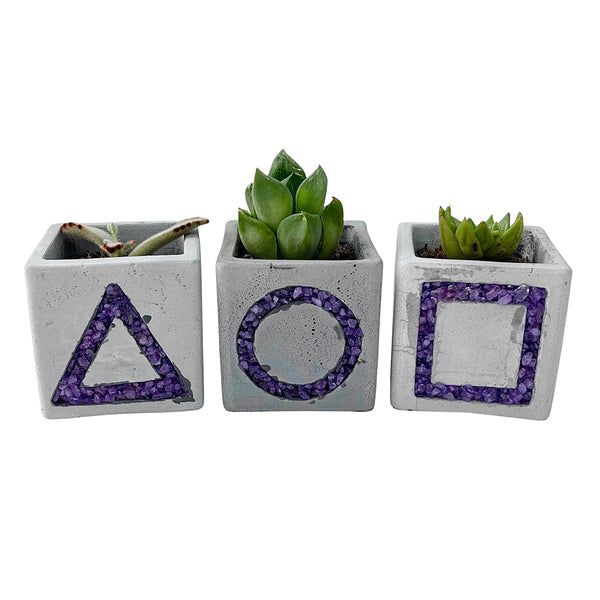 Squid Game-Inspired Planter with Amethyst Inlay - Set of 3