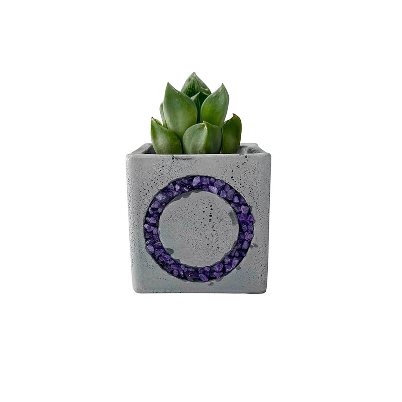 Squid Game-Inspired Planter with Amethyst Inlay - Set of 3