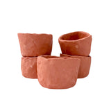 Minimalist Natural Clay Planter – 5 cm (Unglazed) 🌿🏺