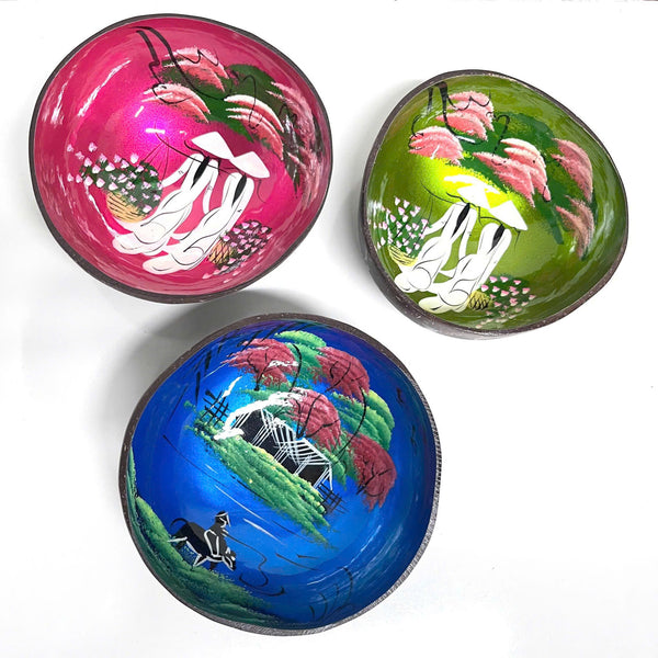 Coconut Shell Bowls Coconut Bowl Lacquer