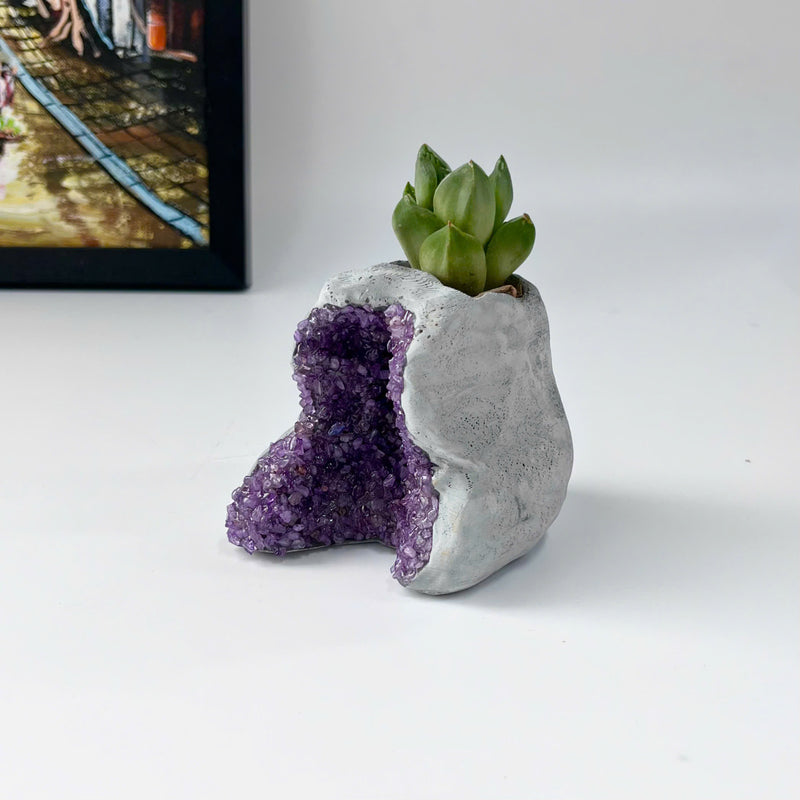 Amethyst Crystal Planter