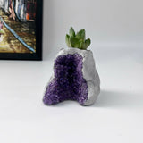 Amethyst Crystal Planter