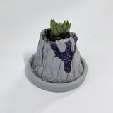 Volcanic Flow Rock Planter - Arrow Volcano