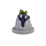 Volcanic Flow Rock Planter - Arrow Volcano